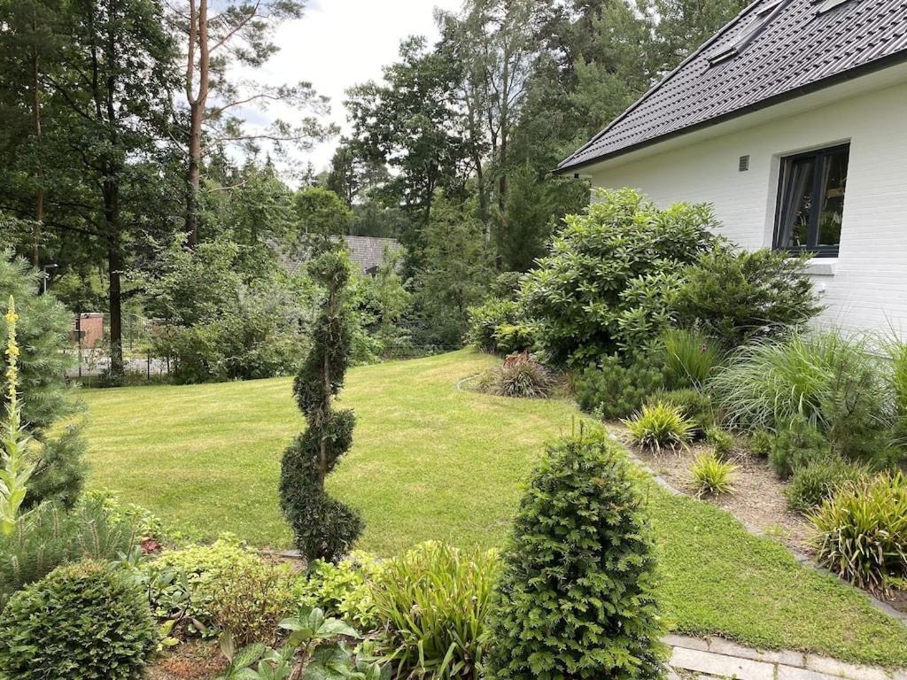 Ferienhaus Bendestorf, Waldweg 38,Naehe Hamburg Ngoại thất bức ảnh