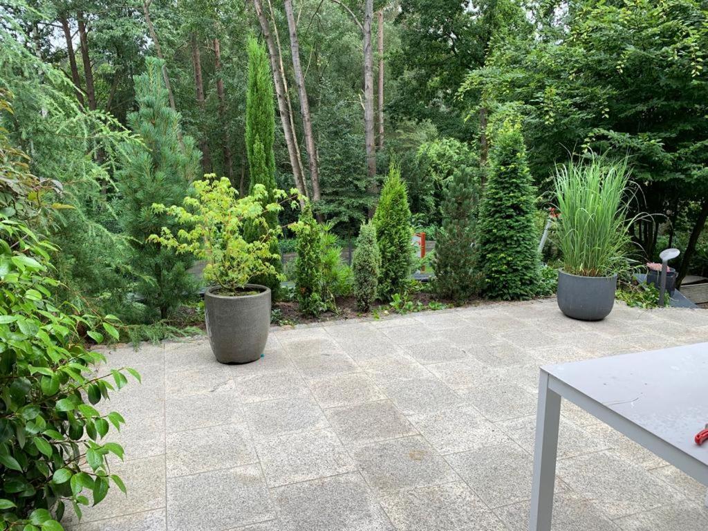 Ferienhaus Bendestorf, Waldweg 38,Naehe Hamburg Ngoại thất bức ảnh